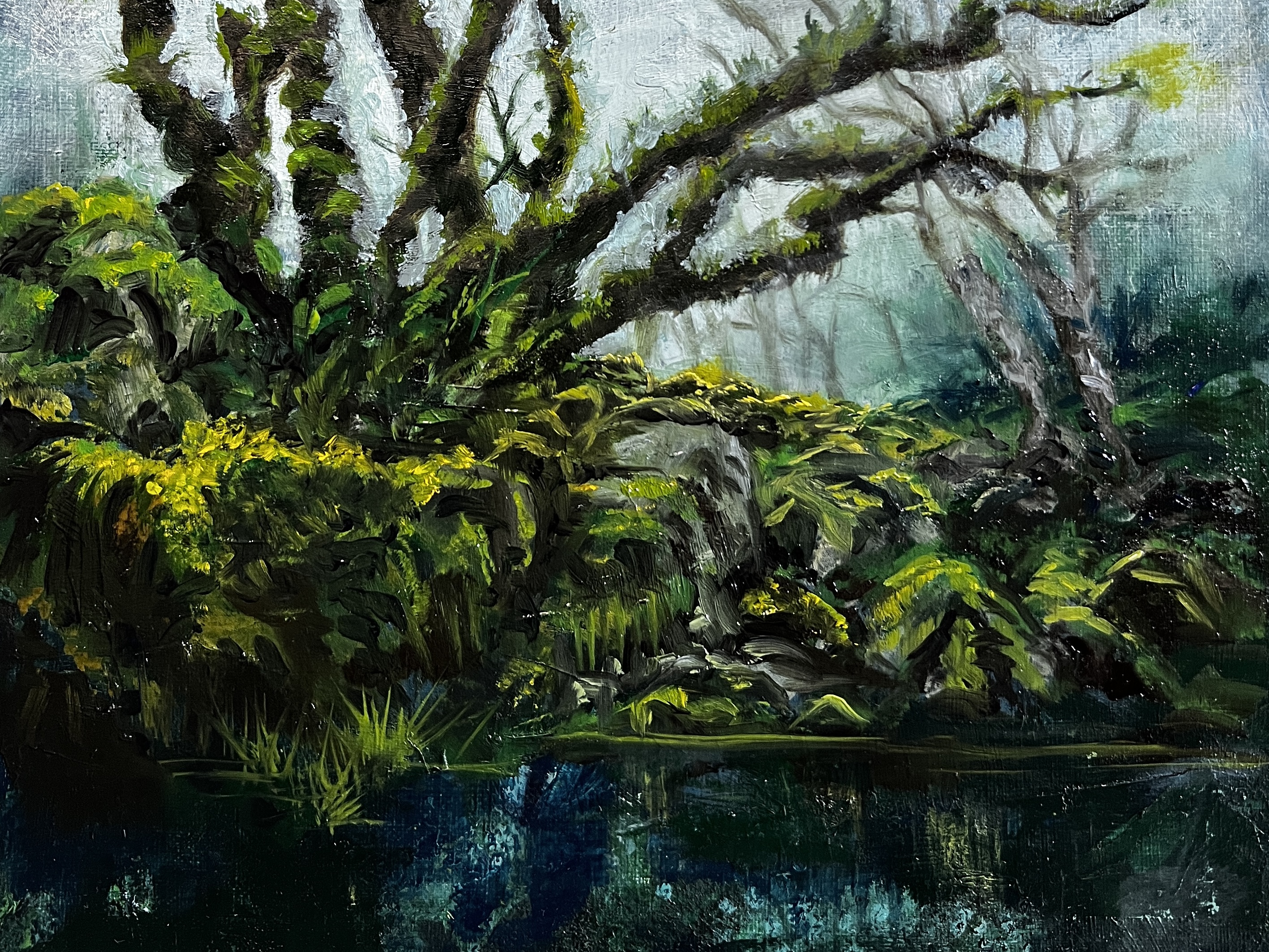 5 Enchanted Wood, High Peak Trail